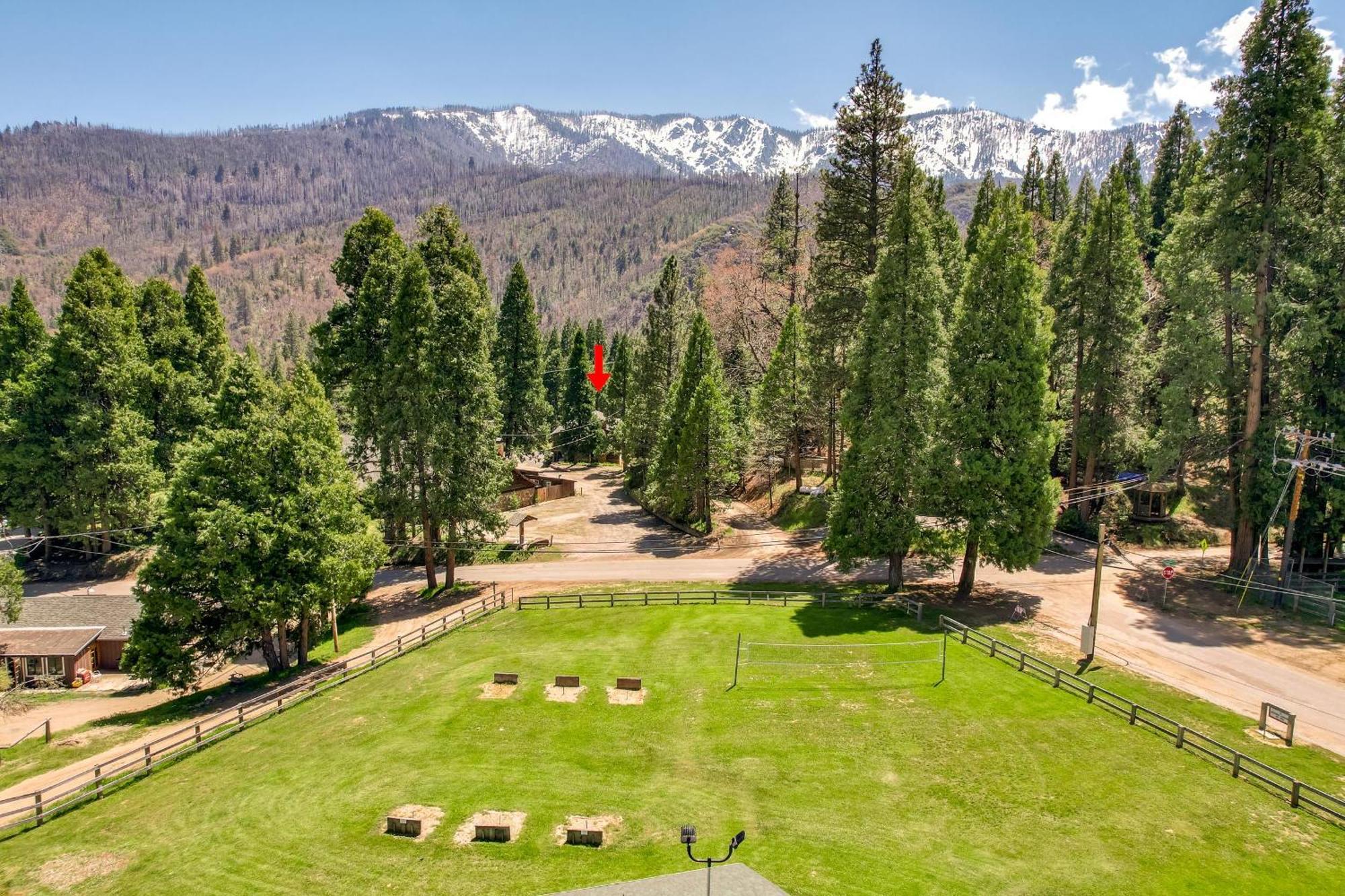 Camp Nelson Lodge Room 10 Ponderosa ภายนอก รูปภาพ